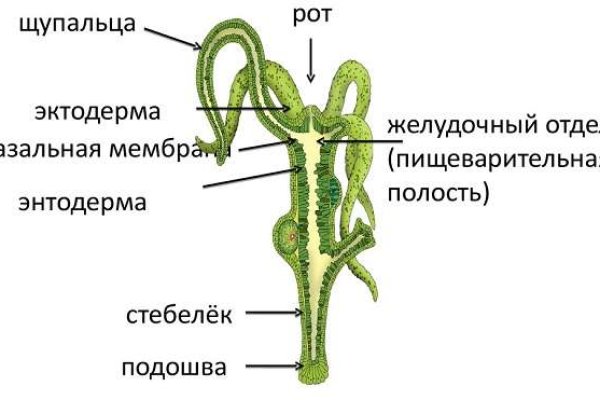 Кракен kr2connect co