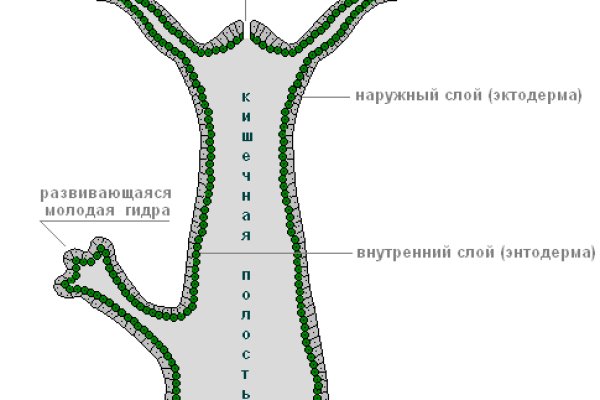 Браузер для кракен